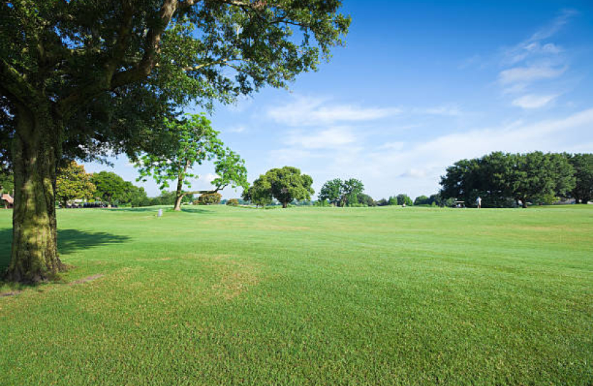 Parks and Green Spaces