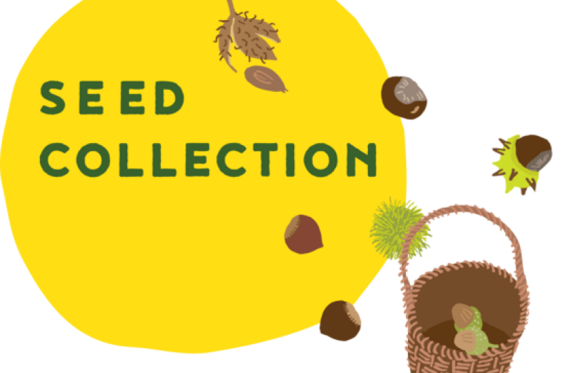 Seed Collection