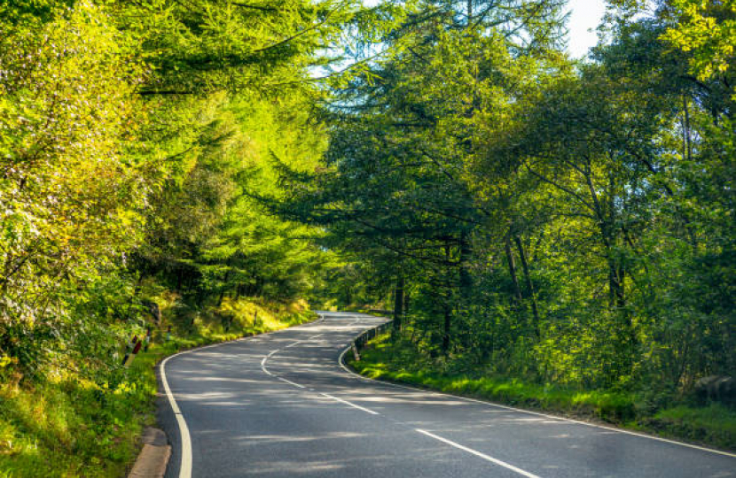 Rural Lane