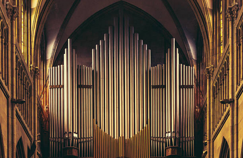 Organ Pipes