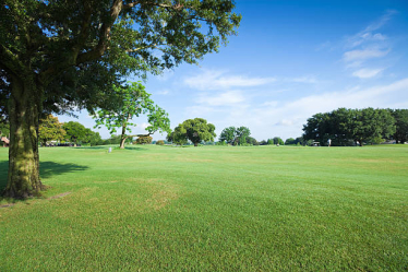 Parks and Green Spaces