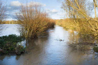 Flooded River