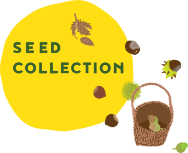 Seed Collection