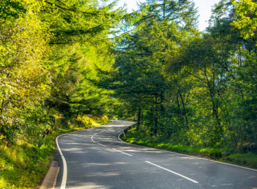 Rural Lane