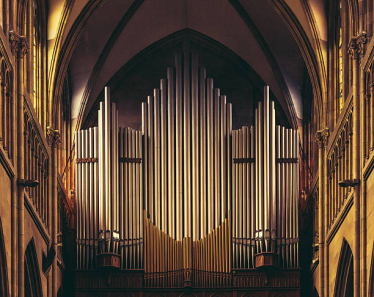 Organ Pipes